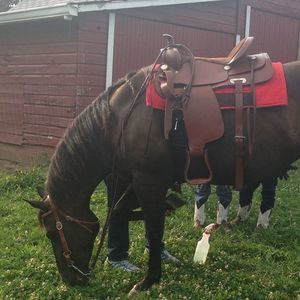 Meet your Posher, Sharon